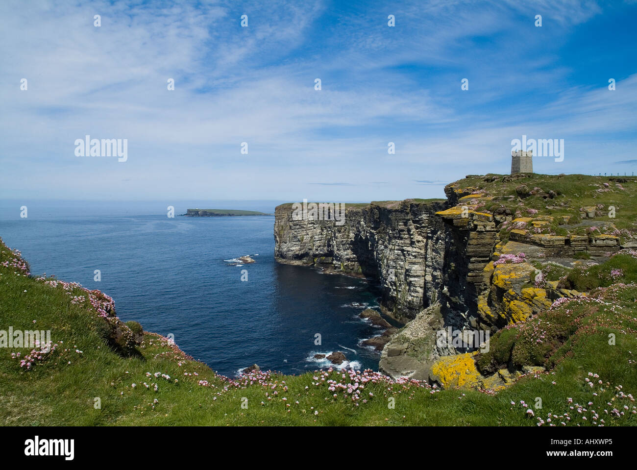 dh Marwick Head BIRSAY ORKNEY Scottish Kitchener Memorial sea pinks on seacliff top RSPB Nature reserve coast uk seacoast scotland Stock Photo