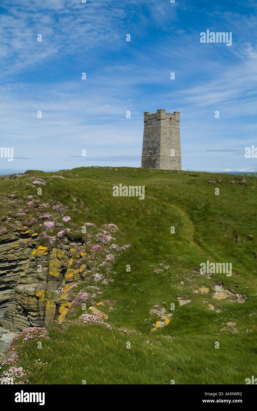 dh Marwick Head BIRSAY ORKNEY Kitchener Memorial on RSPB Bird Nature reserve Thrift flowers on seacliff Stock Photo