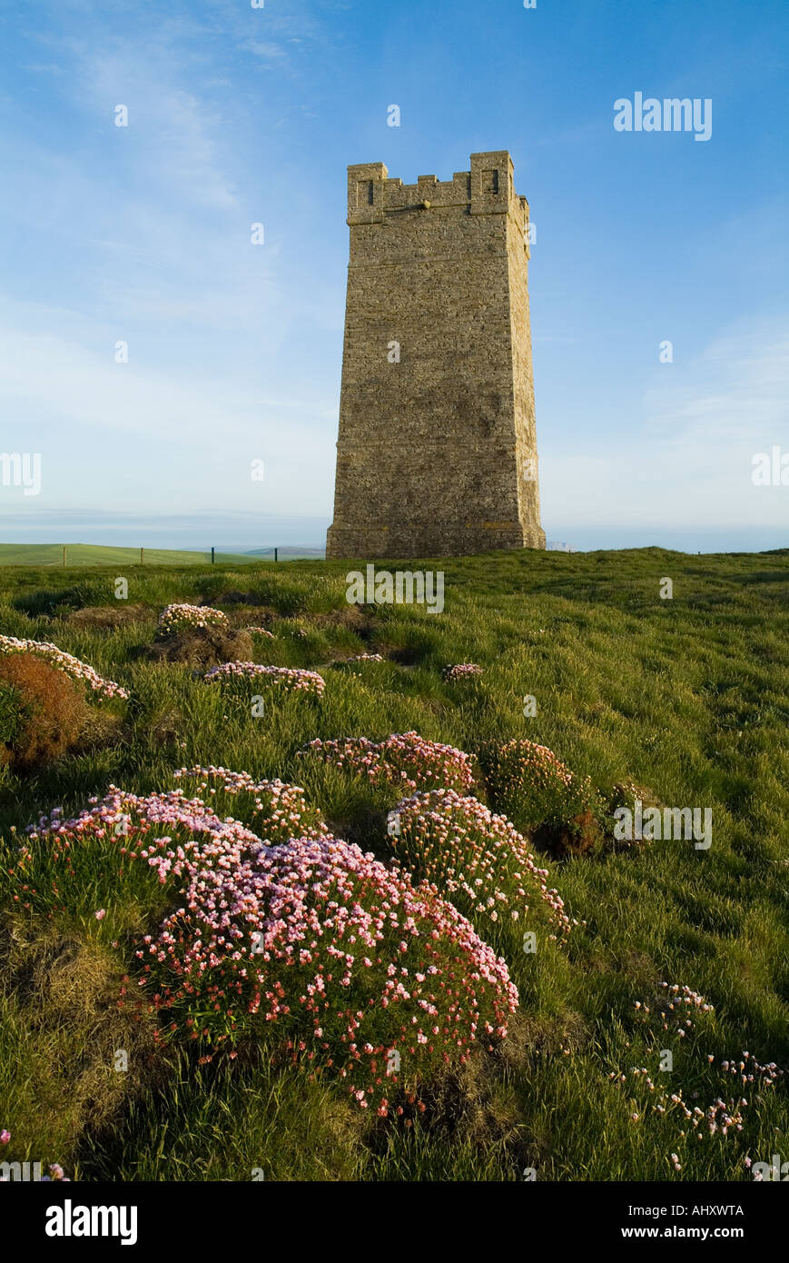 dh Marwick Head BIRSAY ORKNEY Kitchener Memorial on RSPB Bird Nature reserve Thrift flowers on seacliff Stock Photo