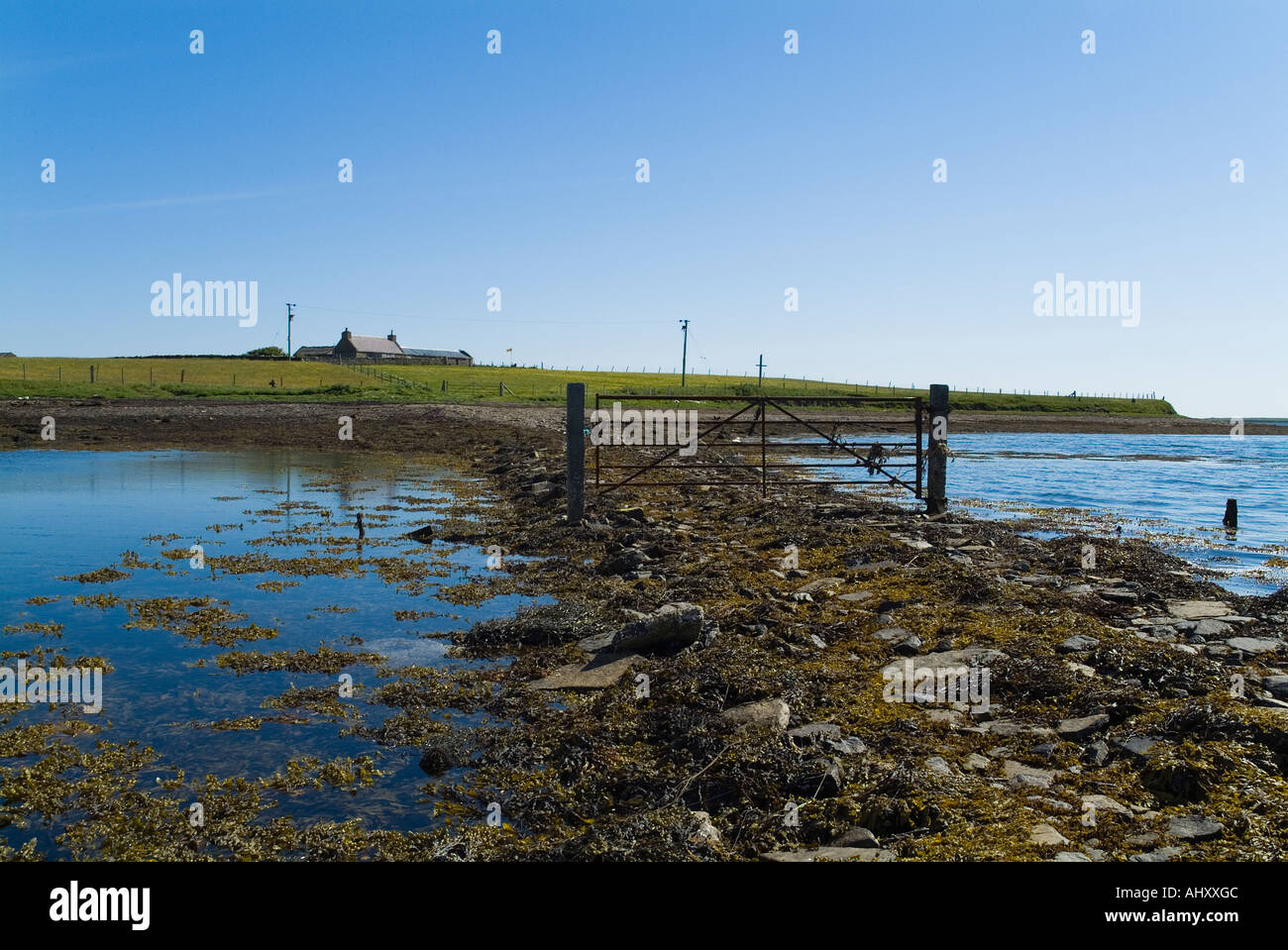 dh Bay of Firth FIRTH ORKNEY Farm gate on causeway to Holm of Grimbister island road rural croft small cottage remote islands house scotland Stock Photo