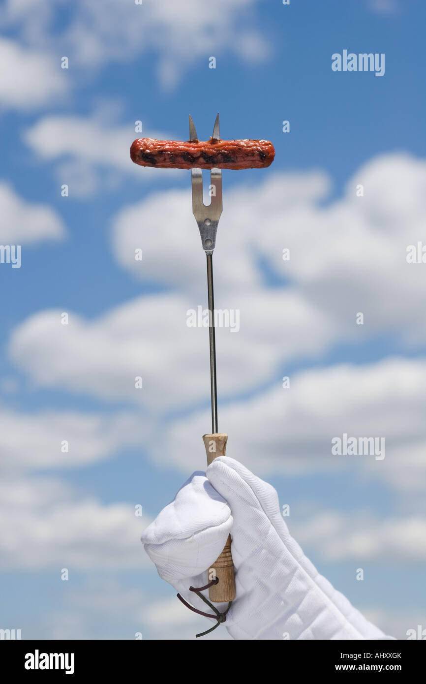 Hot dog on barbeque fork Stock Photo Alamy