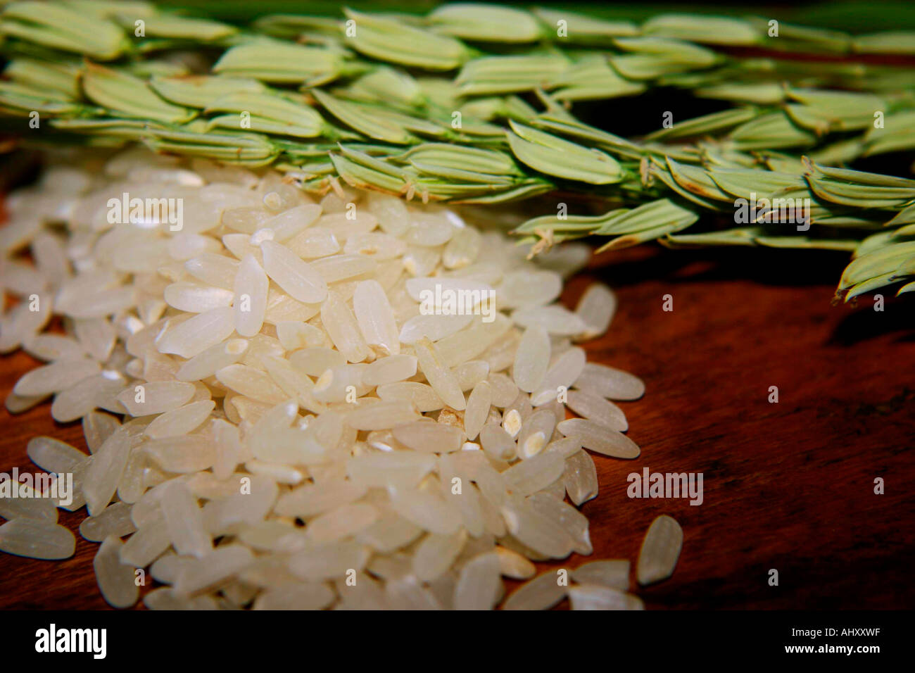 Plenairs Rice Greg rice hi-res stock photography and images - Alamy