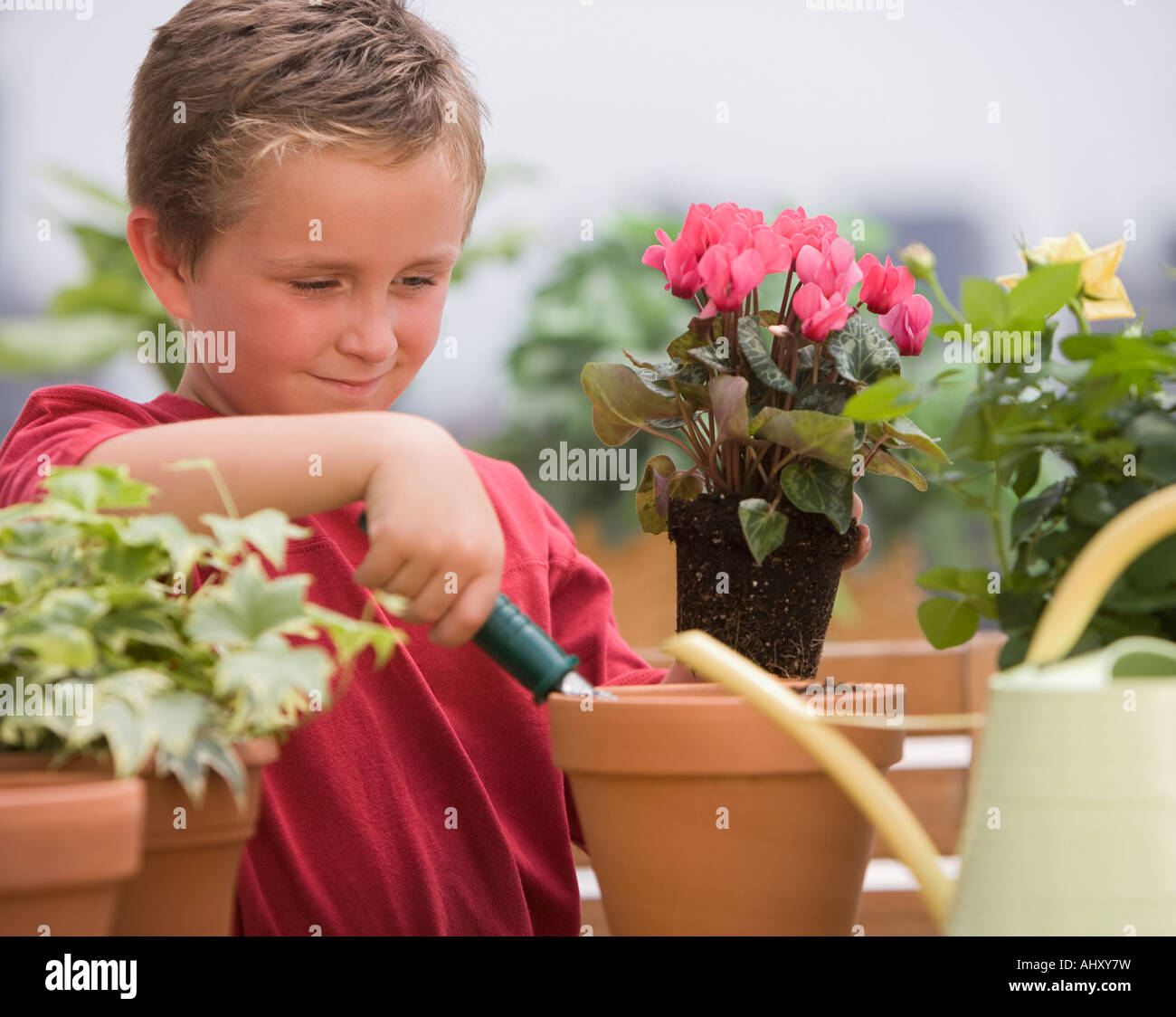 Boy watering potted plants Stock Photo - Alamy