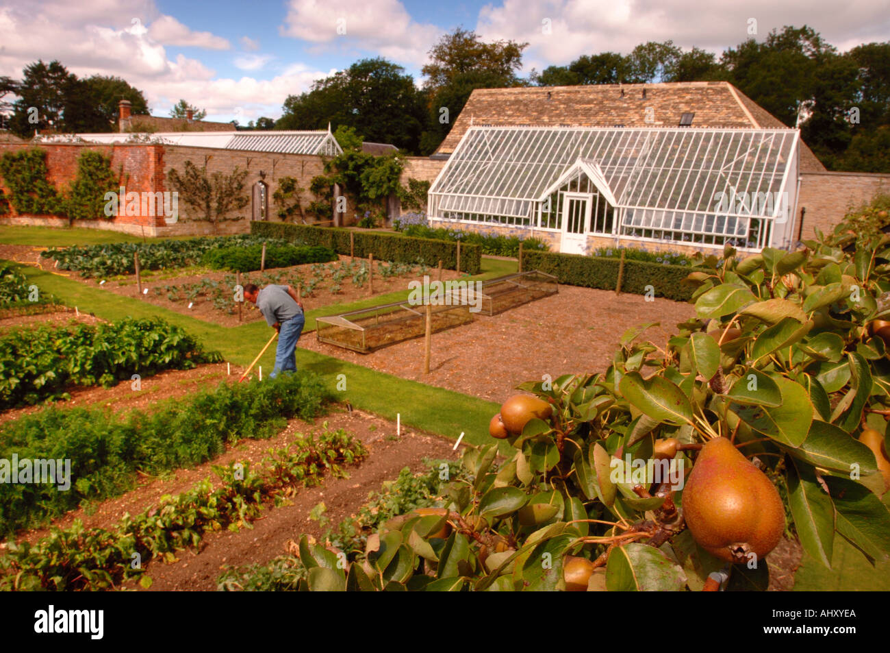 THE VICTORIAN WALLED VEGETABLE GARDEN AT OZLEWORTH PARK GLOUCESTERSHIRE UK Stock Photo