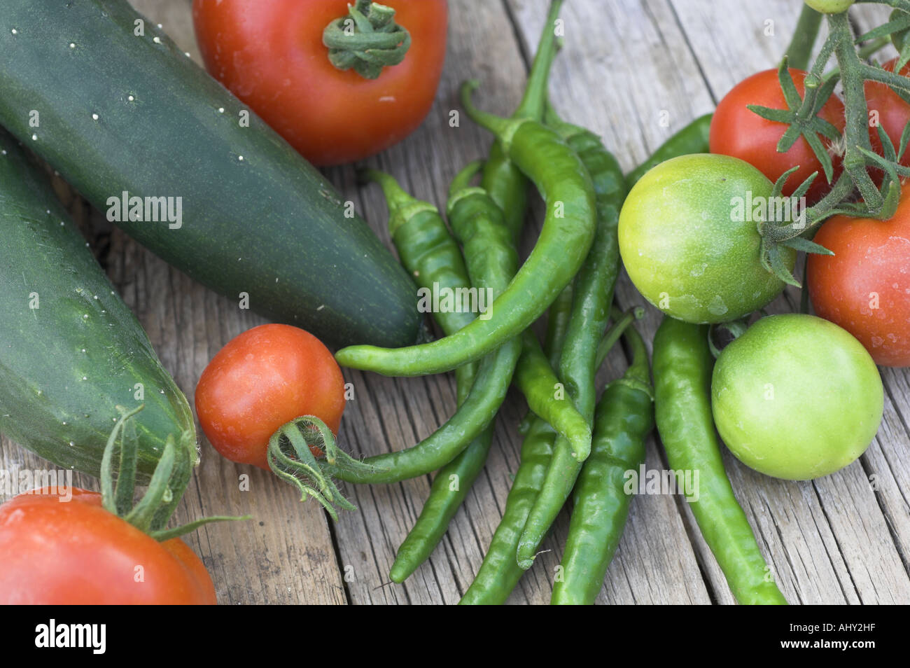 Freshly picked Home grown organic tomatoes cucumber and green chillis with rustic trug on weathered garden table UK August Stock Photo