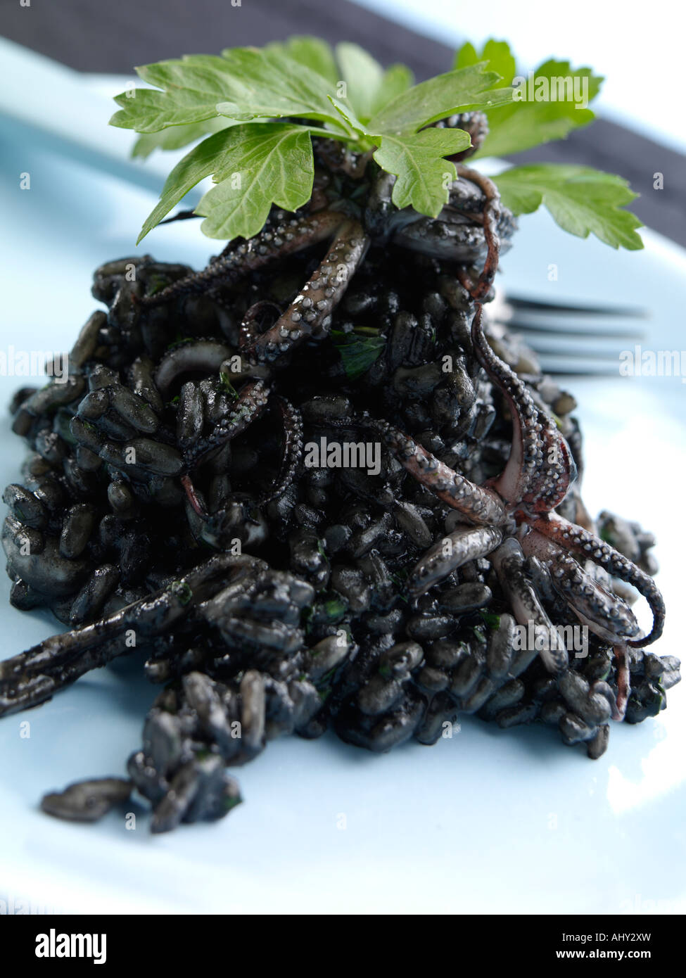 Individual portion risotto nero hires stock photography and images Alamy