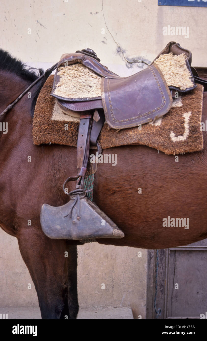 Saddle and stirrups, Ingapirca, Ecuador Stock Photo
