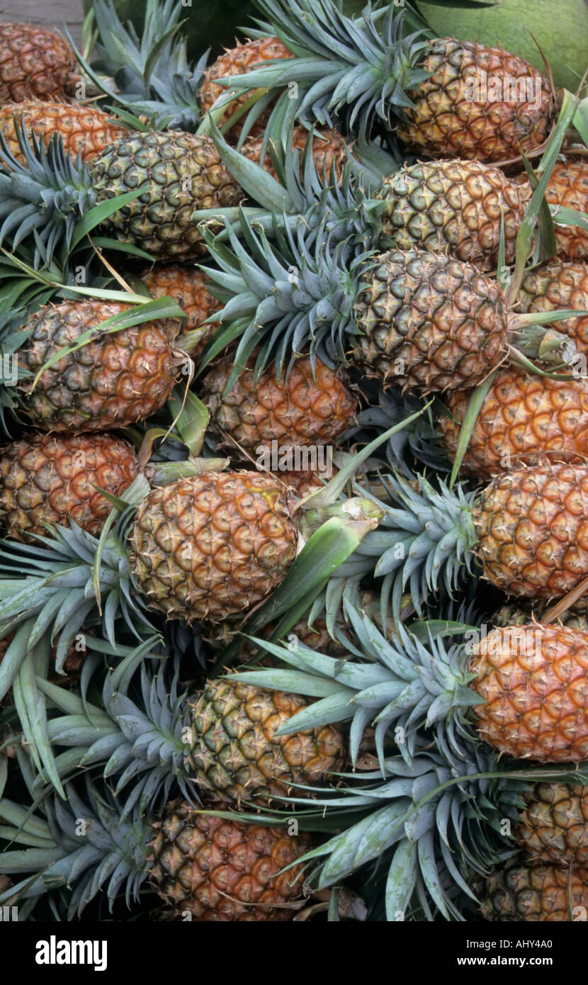 Pinapples for sale, Atacames, Ecuador Stock Photo