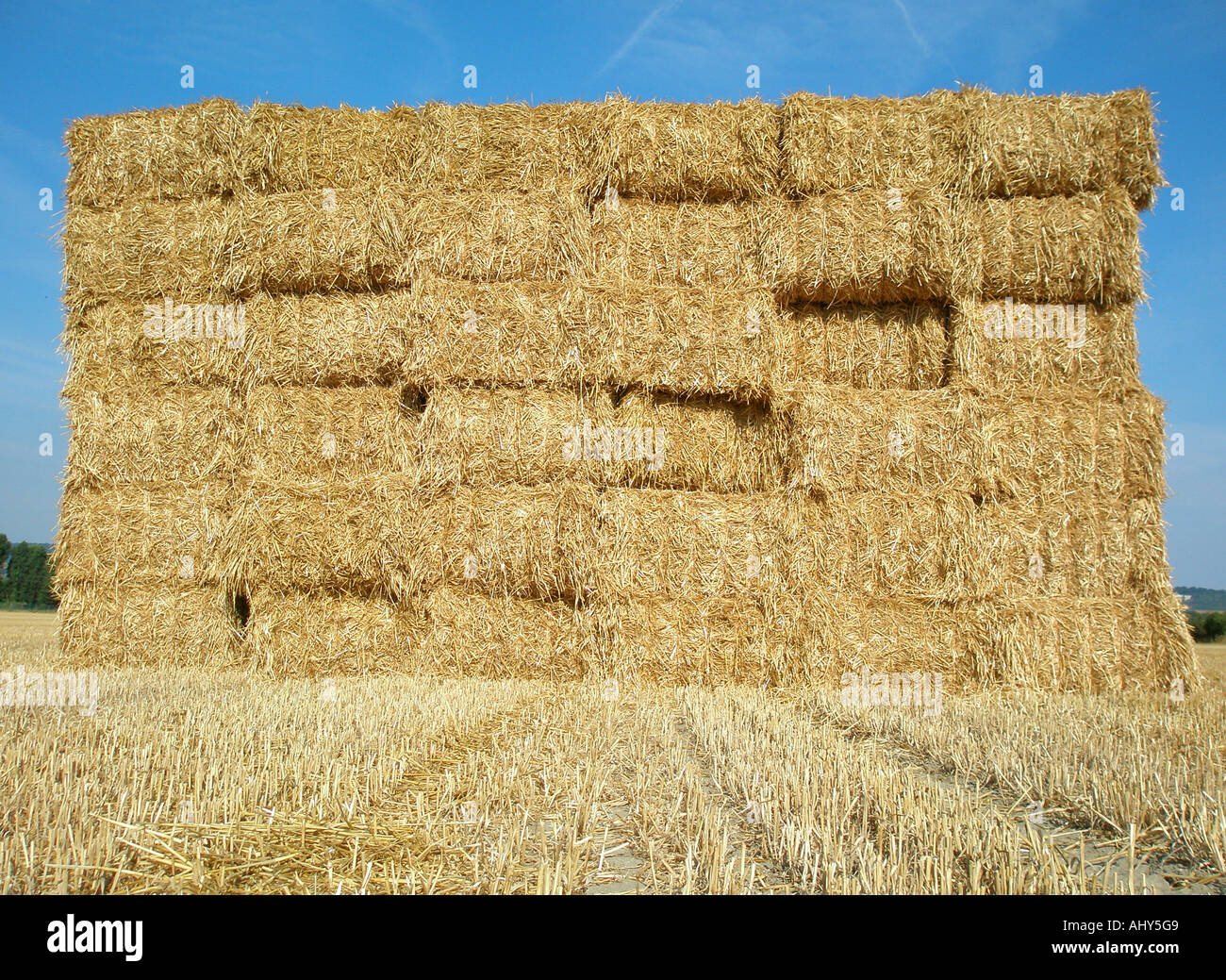 Square Hay Bale Dimensions English