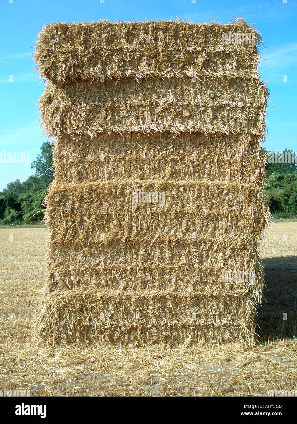 Traditional English square haystack Stock Photo Alamy