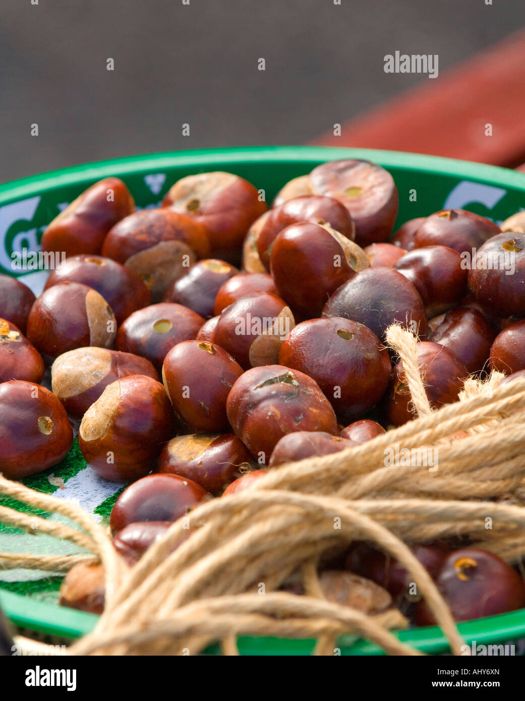 A bowl of conkers strung and ready for play. Picture by Jim Holden. Stock Photo