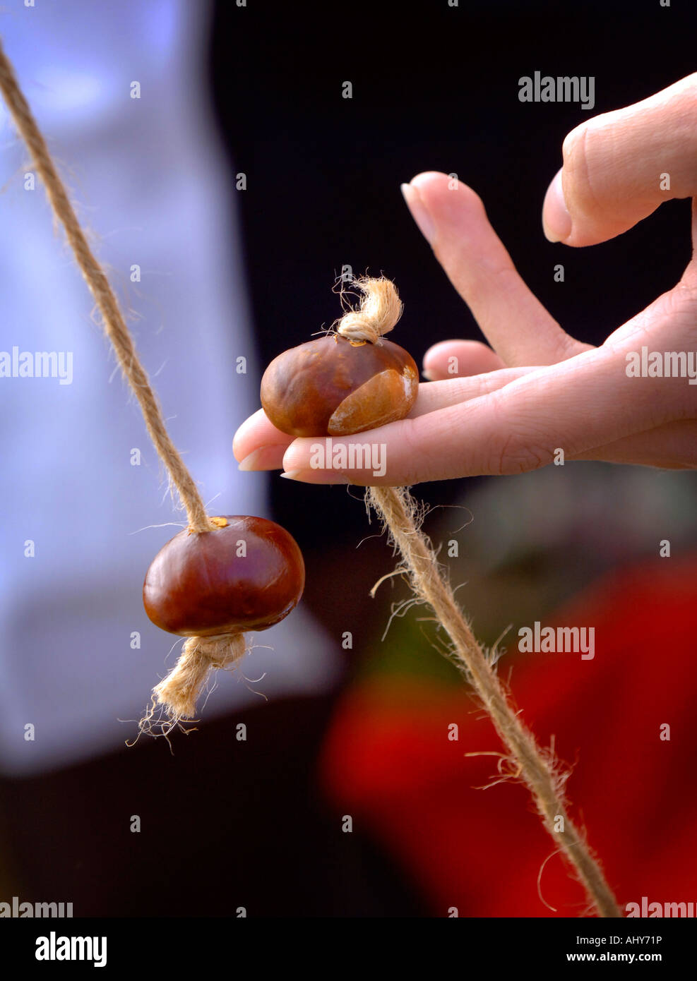 Hands draw the string tight as a game of conkers begins in Ferring, West Sussex. Picture by Jim Holden. Stock Photo
