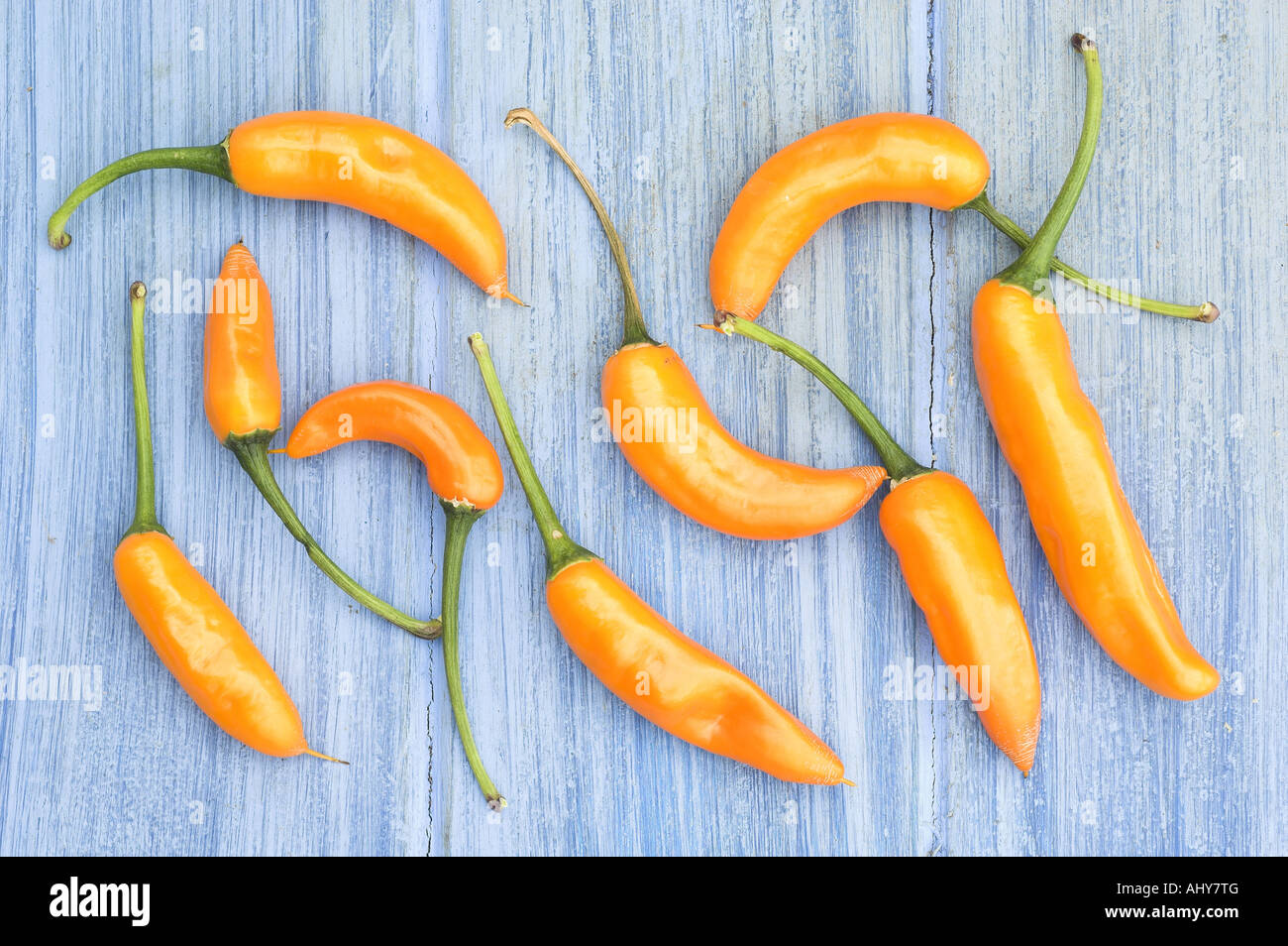 Yellow chillies freshly harvested on pale blue background Stock Photo Alamy