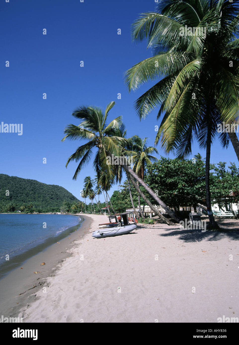 West coast Purple Turtle Beach and palm trees near small