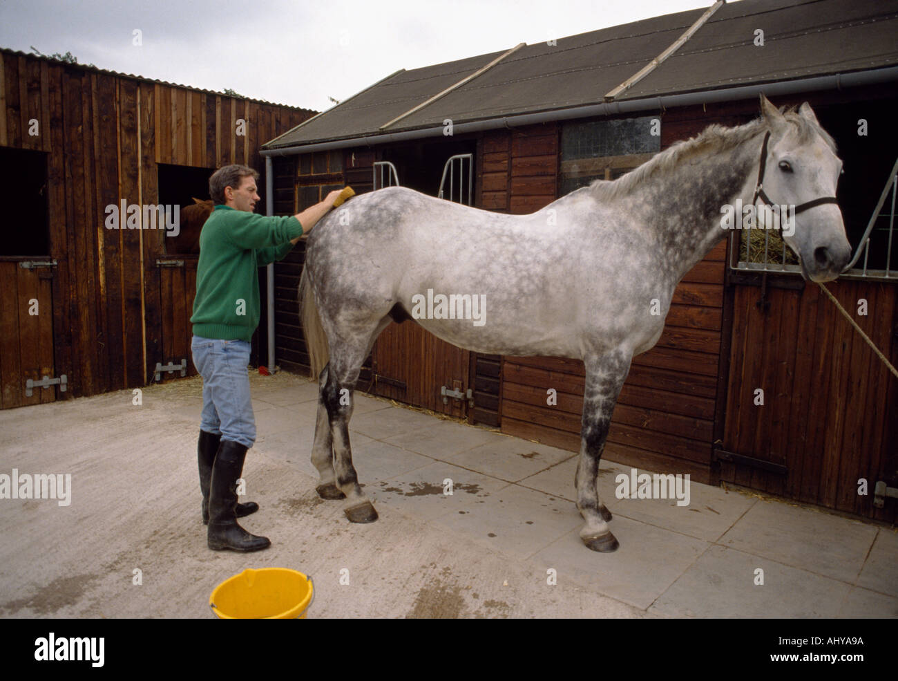 Ian Stark grooming his horse in Scotland in Great Britain in the United