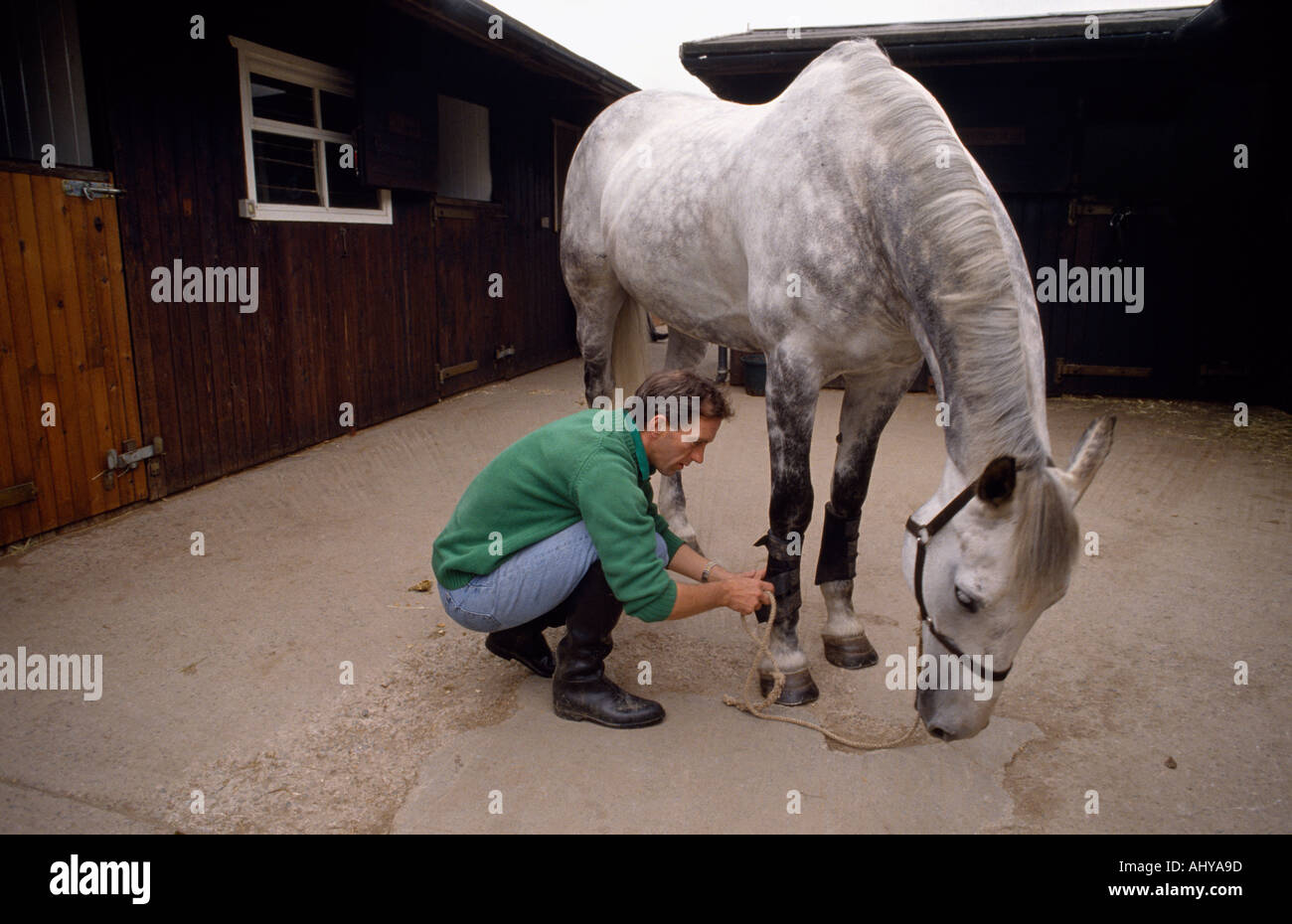 Ian Stark grooming his horse in Scotland in Great Britain in the United