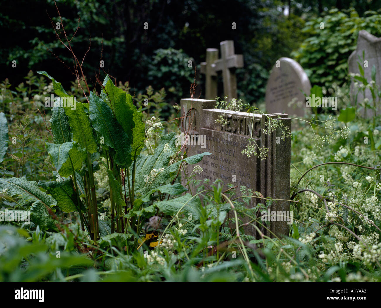Highgate Cemetery in London in England in Great Britain in the United Kingdom UK. Cemeteries Tomb Nature History Death Stock Photo
