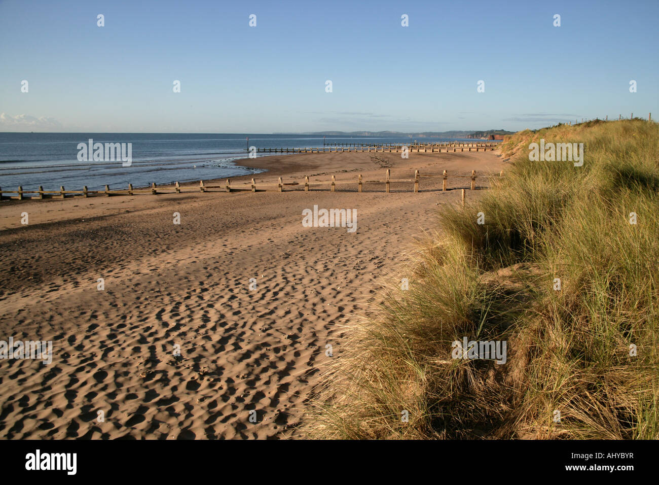 dawlish-warren-nature-reserve-devon-stock-photo-alamy