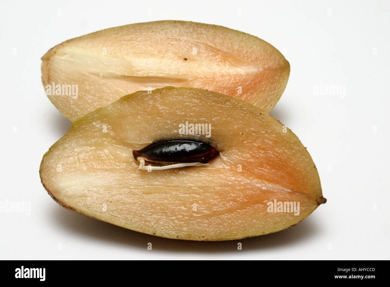 ciku fruit from Malaysia Brown sandy exterior Soft sweet flesh when ripe Sapodilla Stock Photo