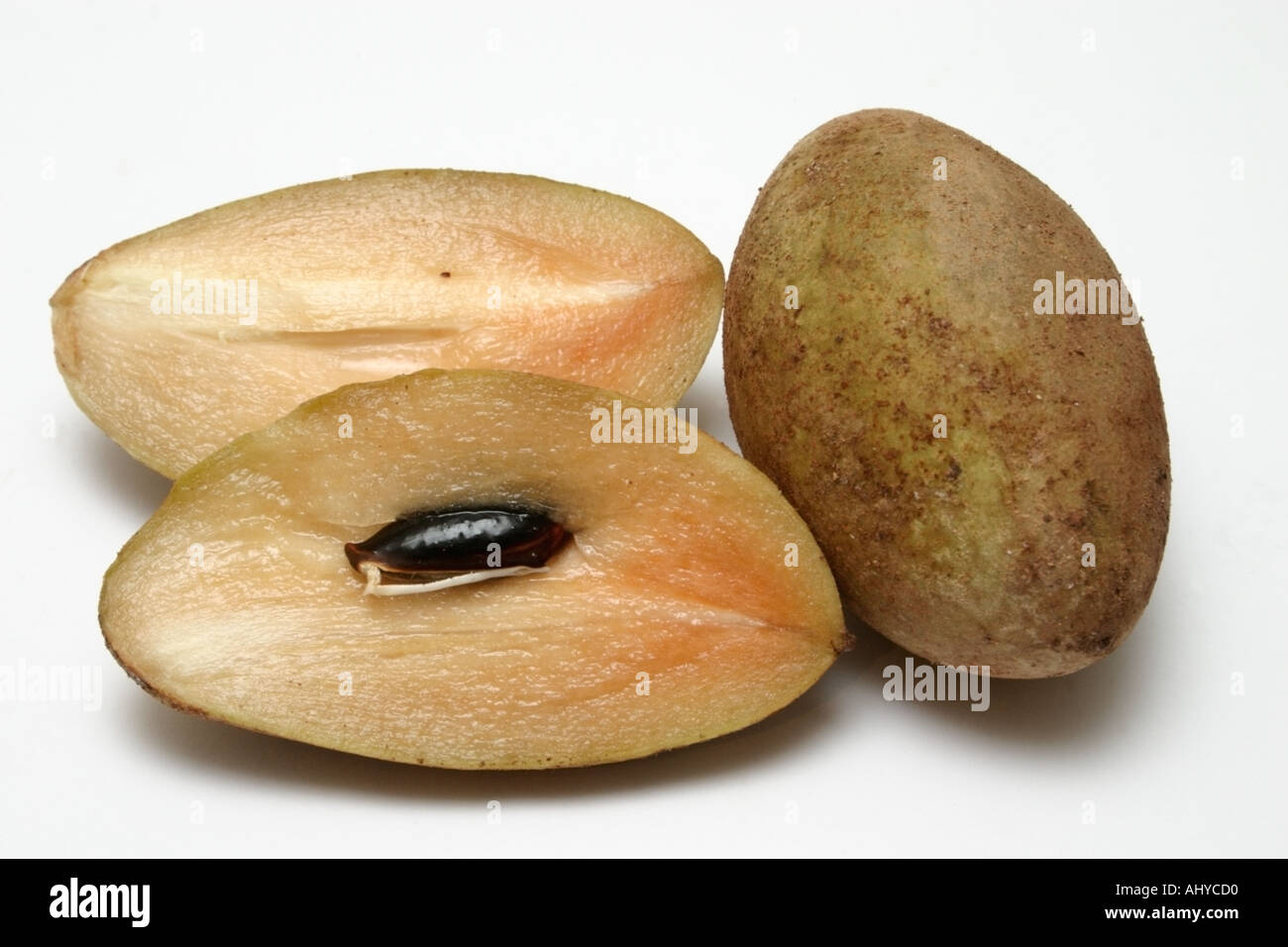 ciku fruit from Malaysia Brown sandy exterior Soft sweet flesh when ripe Sapodilla Stock Photo