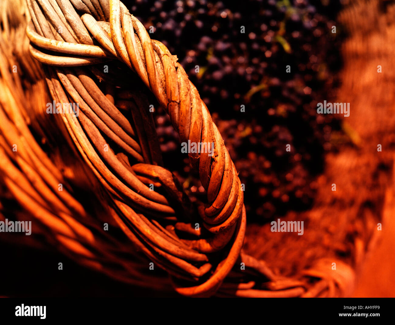 Wine baskets in France Champagne region Stock Photo