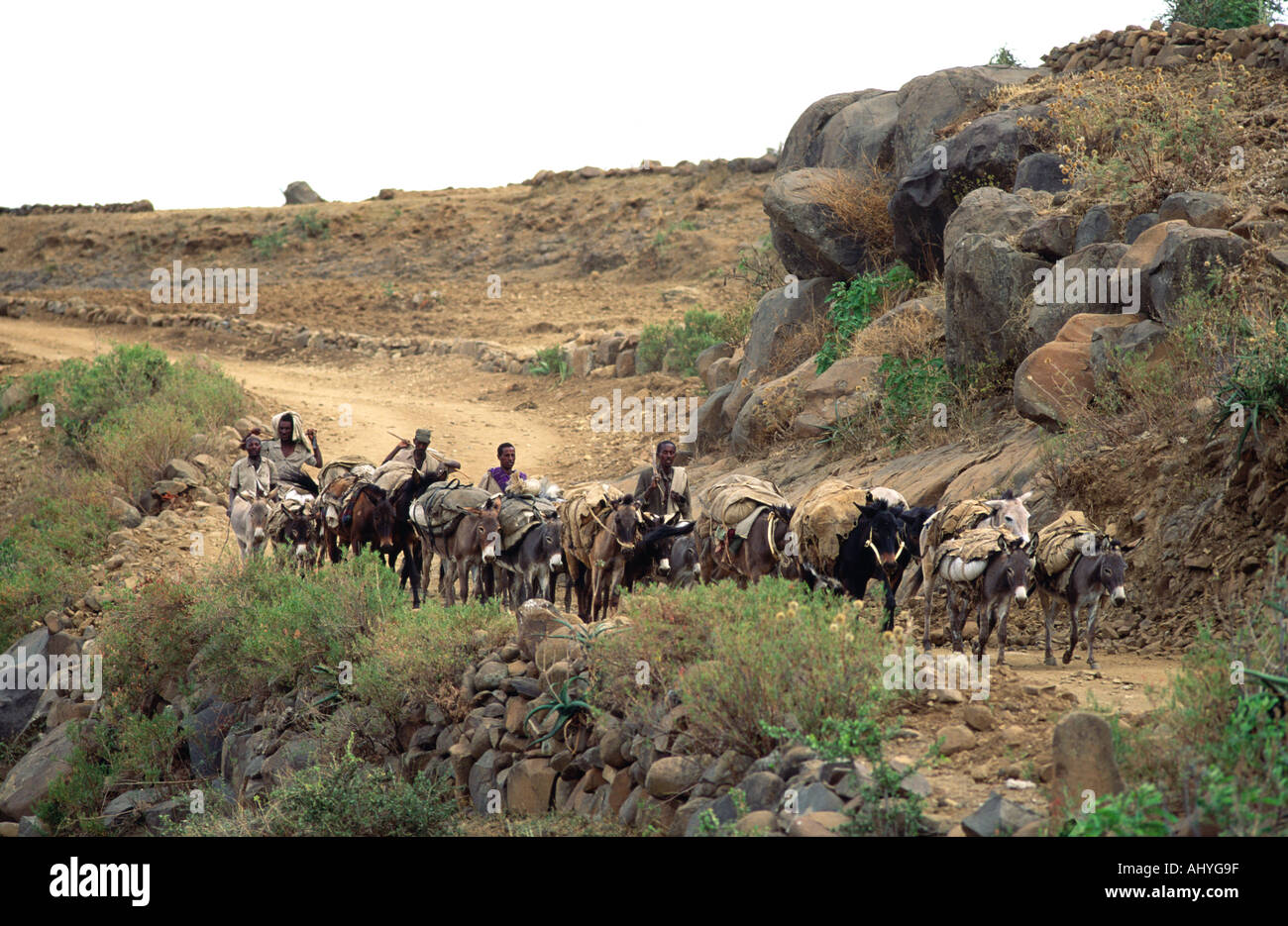Ethiopian countrymen returning home from the market with their donkeys laden with food and supplies, near Mekelle, Tigray, northern Ethiopia Stock Photo