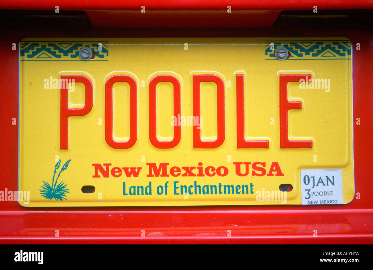 Poodle sales license plate