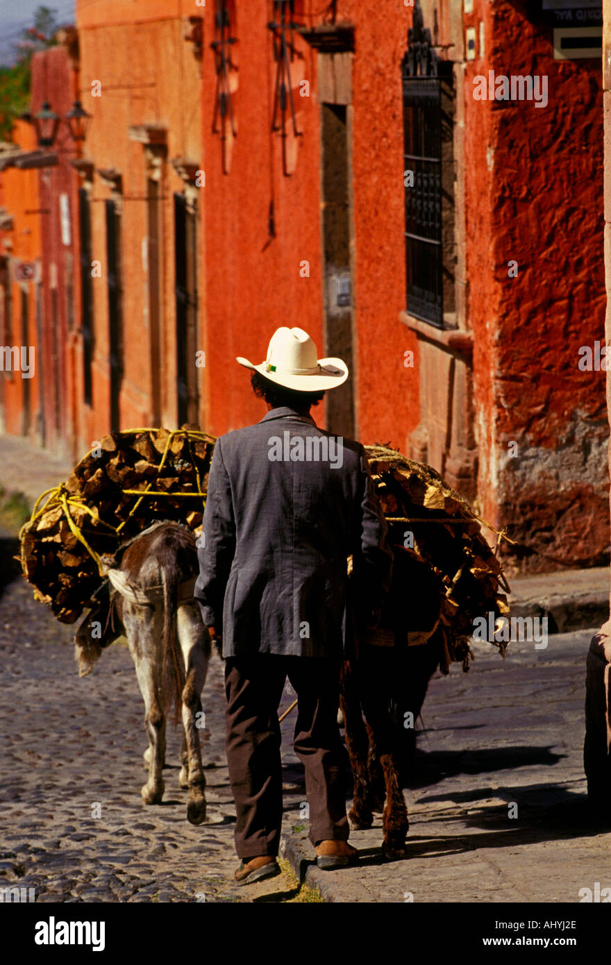 1, one, Mexican man, Mexican man with firewood, vendor, selling wood, town of San Miguel de Allende, San Miguel de Allende, Guanajuato State, Mexico Stock Photo