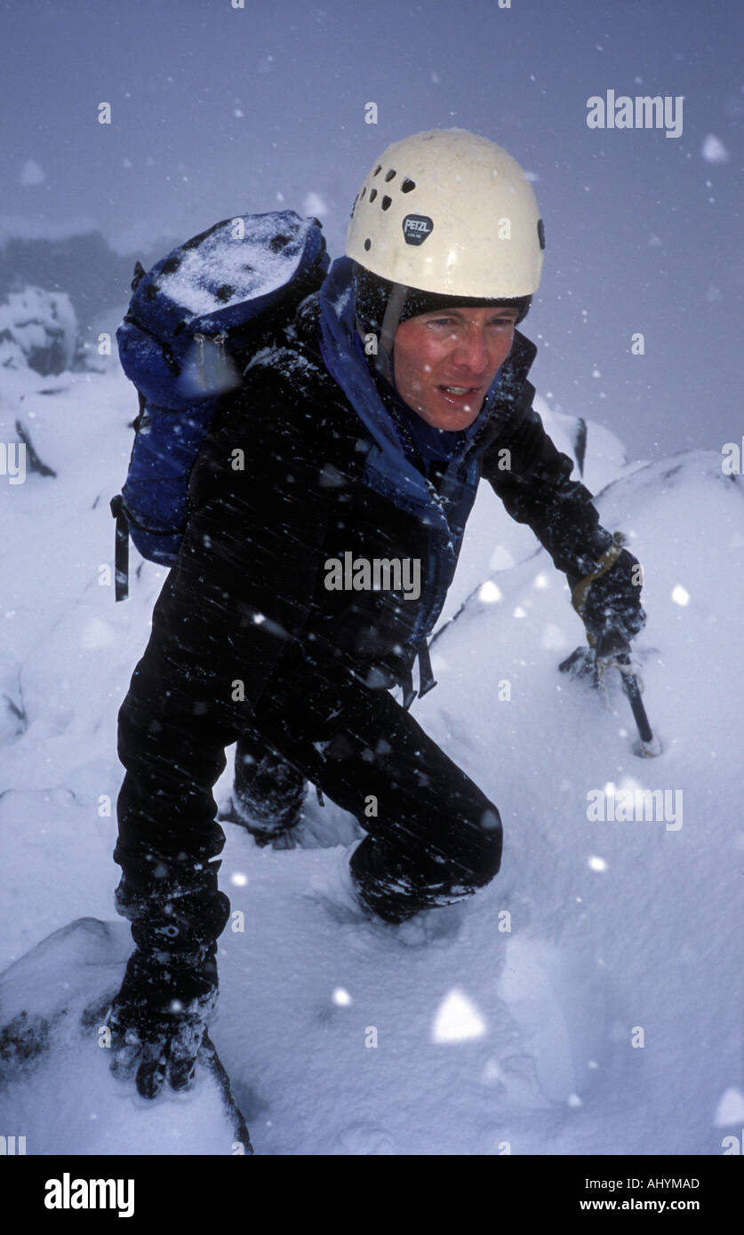 Ben Nevis Climber in wild winter weather on Ledge Route North Face of Ben Nevis Highlands Scotland Stock Photo