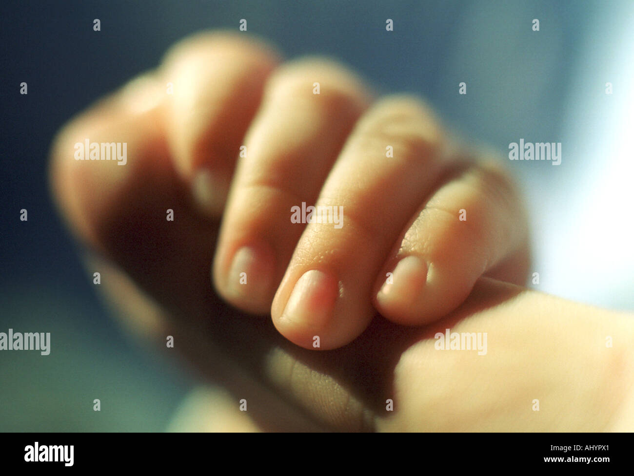 Tiny Baby fingers grasp an adult finger Stock Photo