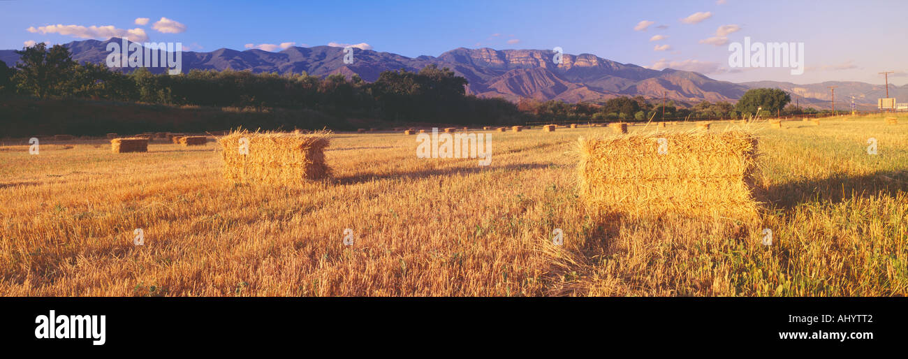 Hay Bails and Topa Topa Mountains Upper Ojai California Stock Photo