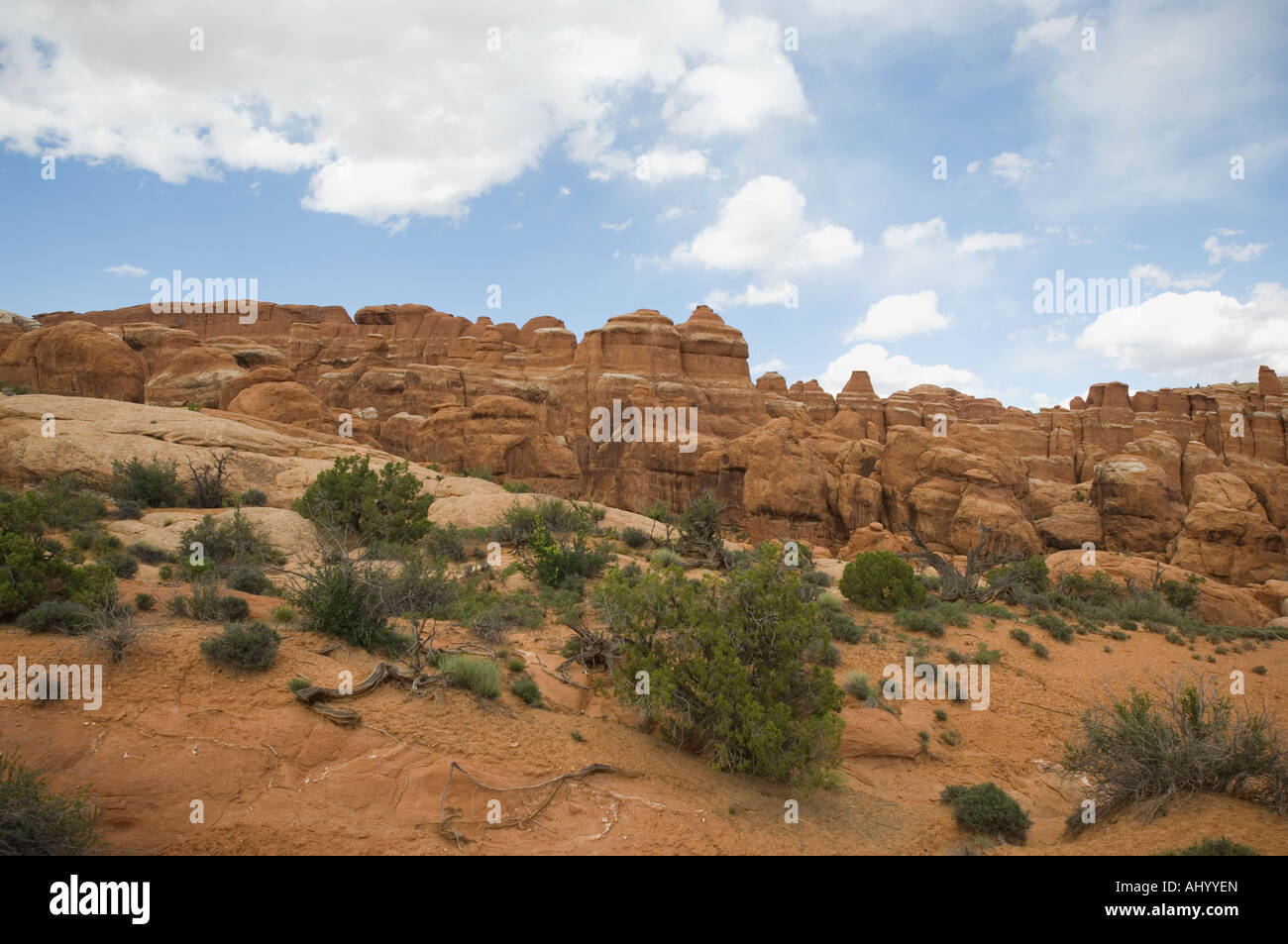 Desert landscape under blue sky Stock Photo - Alamy