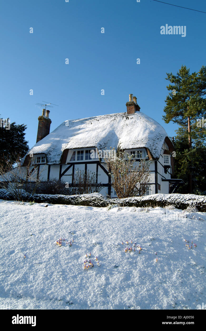 Snow Covered Country Cottage Micheldever Village Hampshire Southern