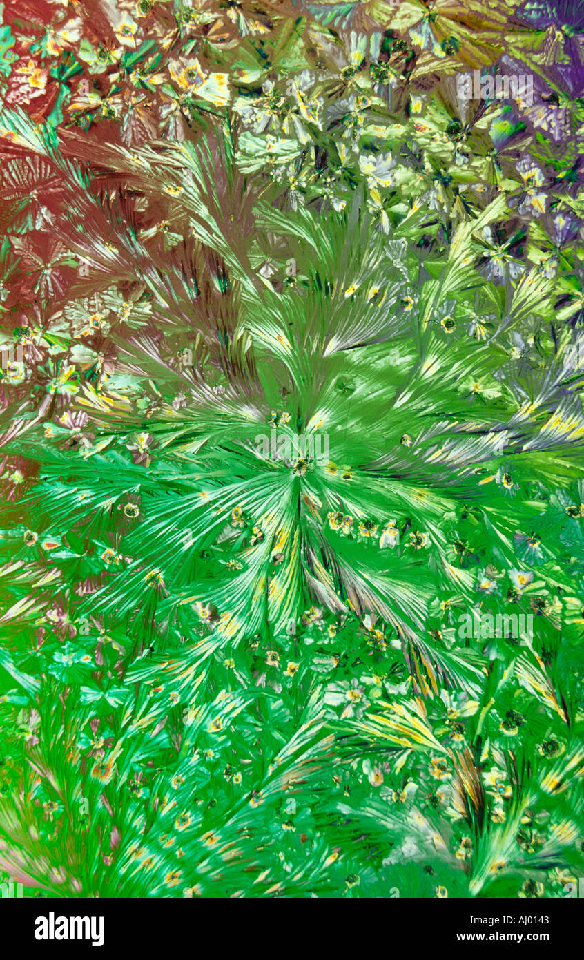 Photomicrograph of Crystals of Tartaric Acid in Polarized Light Stock Photo