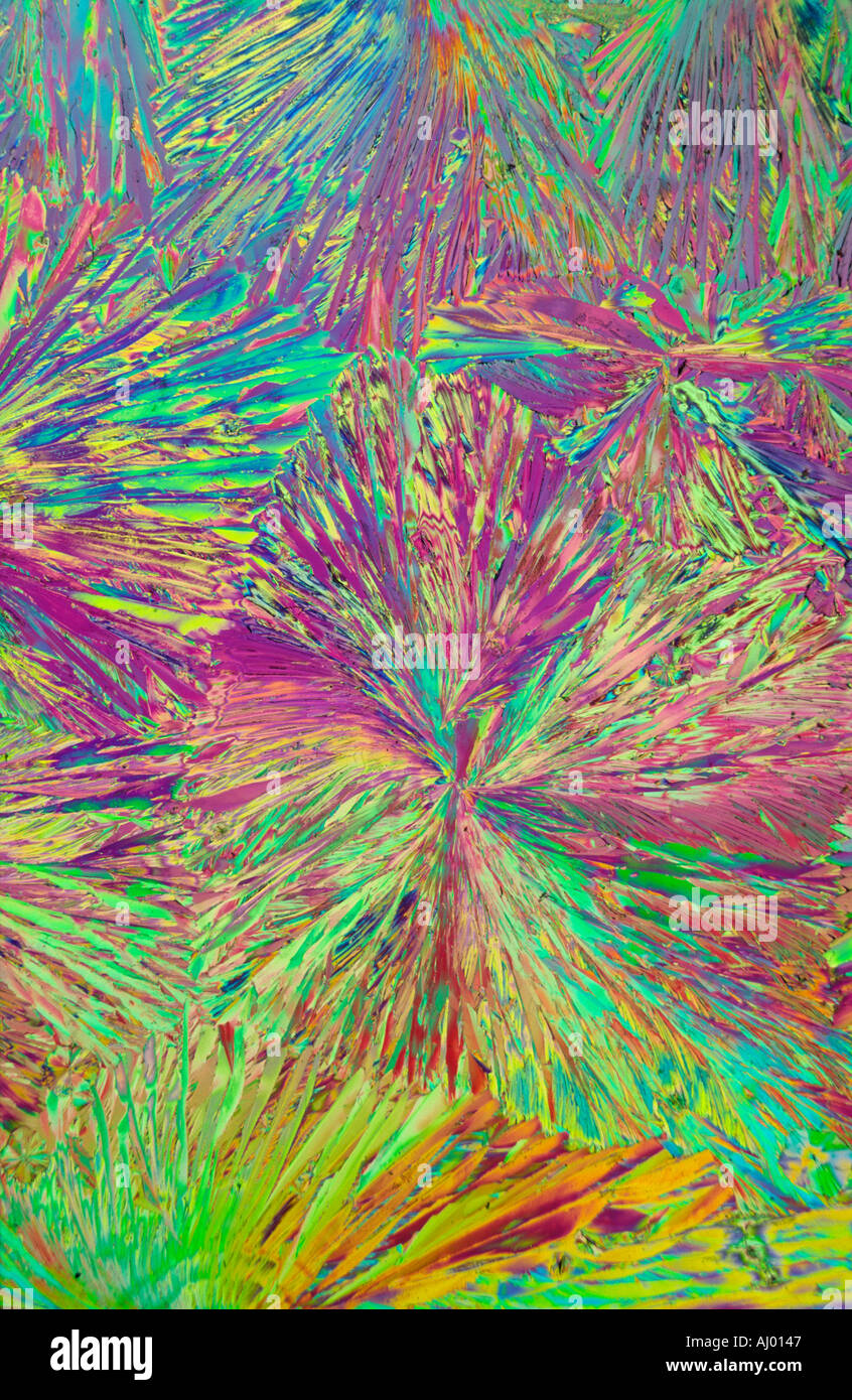Photomicrograph of Crystals of Citric Acid under Polarised Light Stock Photo