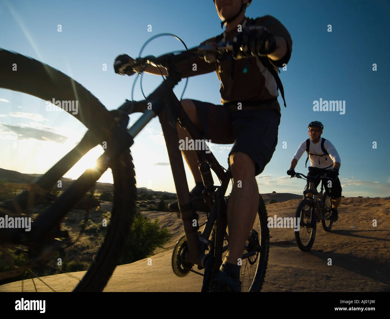 mountain bikes in stock