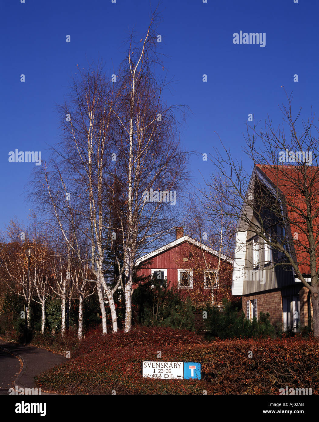 Modern homes with a scandinavian architecture influence at Svenskaby