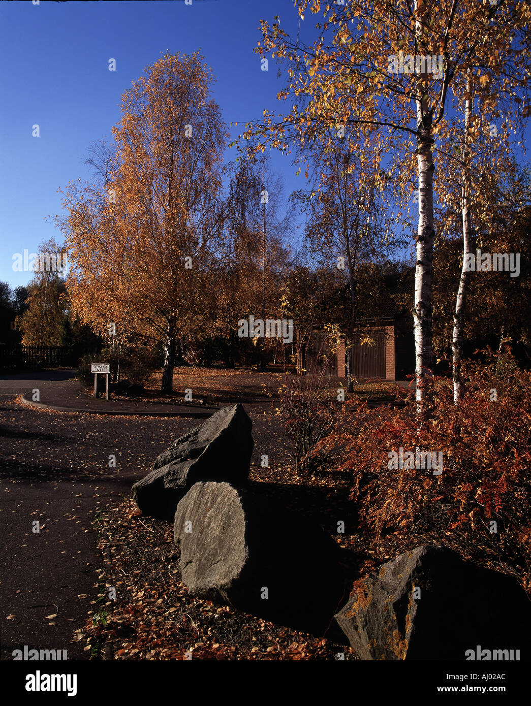 View of a modern UK housing estate with scandinavian influenced