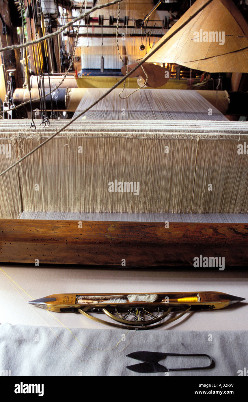 France, Rhone, Lyon city, mechanical loom with Jacquard, weaving of taffeta chameleon Stock Photo