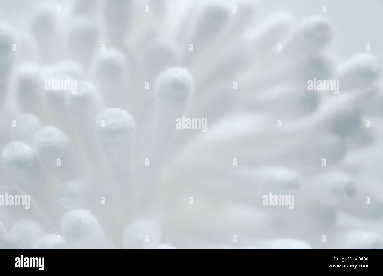 Cotton wool buds hires stock photography and images Alamy
