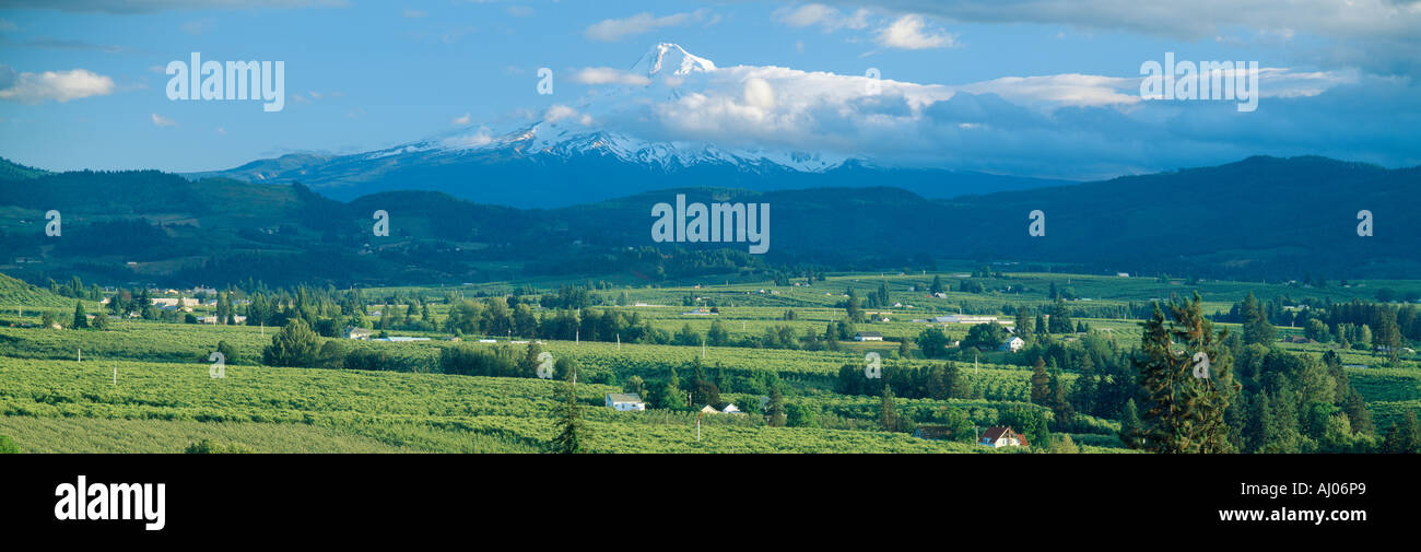 Hood River Valley and Mount Hood Oregon Stock Photo