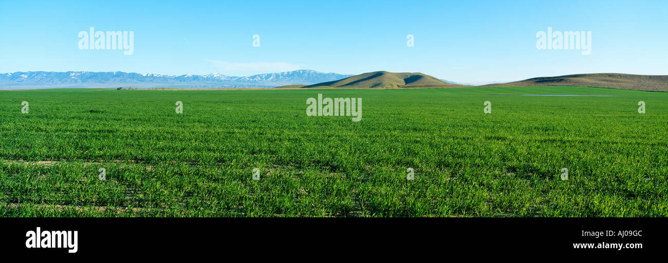 Spring Valley Antelope Valley California Stock Photo Alamy