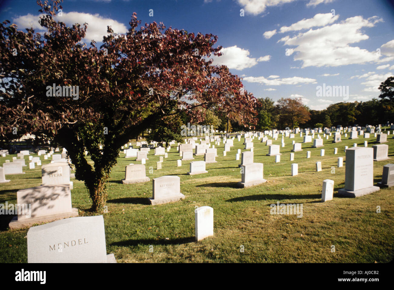 Commemorative headstones hi-res stock photography and images - Alamy