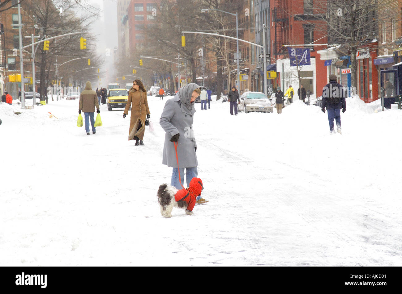 A woman walks her coat wearing dog in a snowy street in New York City