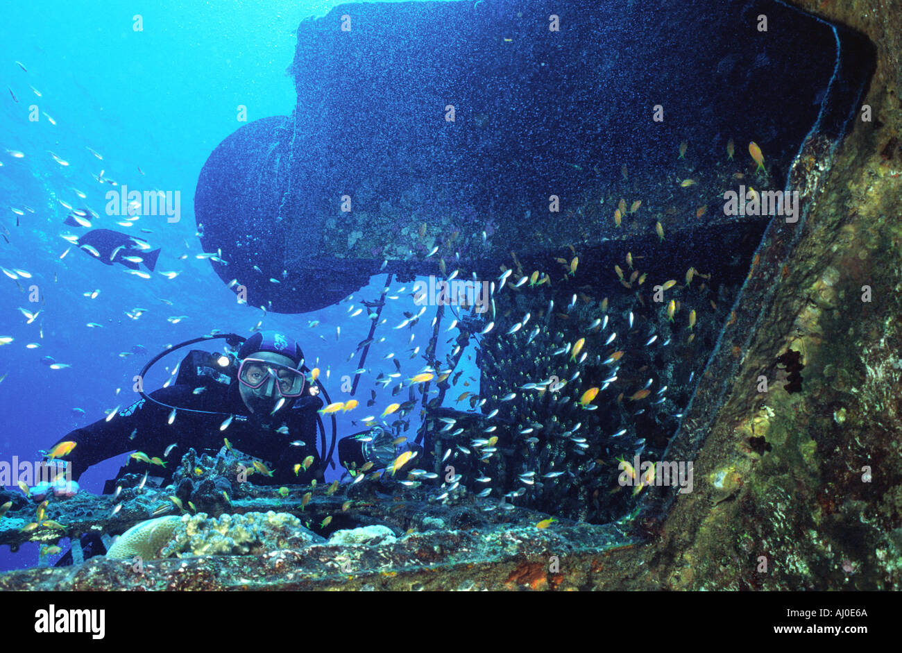 Diver diving under sea water hi-res stock photography and images - Alamy