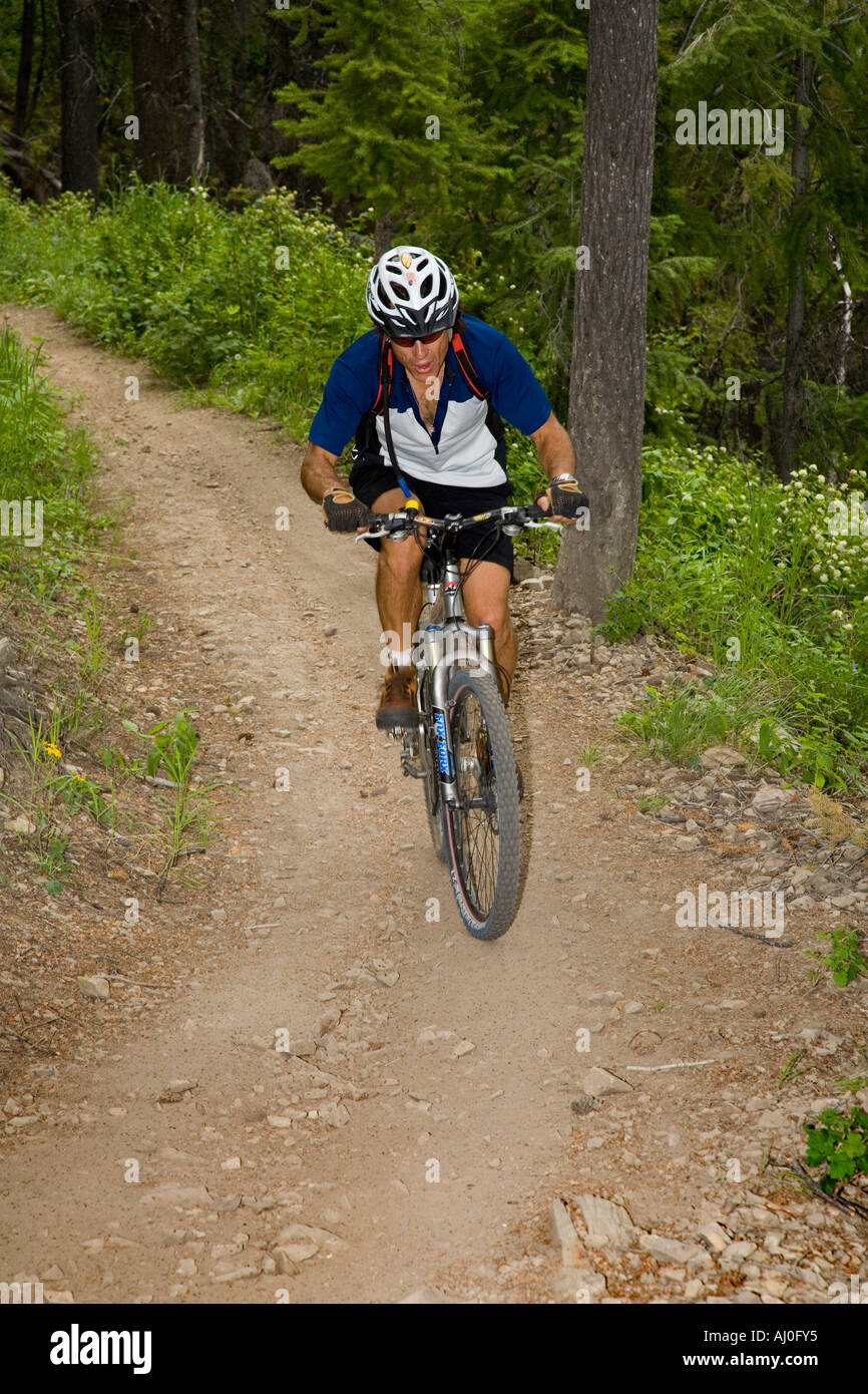 Nick mountain bikes down the backside of Baldy Mtns extensive trail system in Sun Valley Idaho Model Released Stock Photo