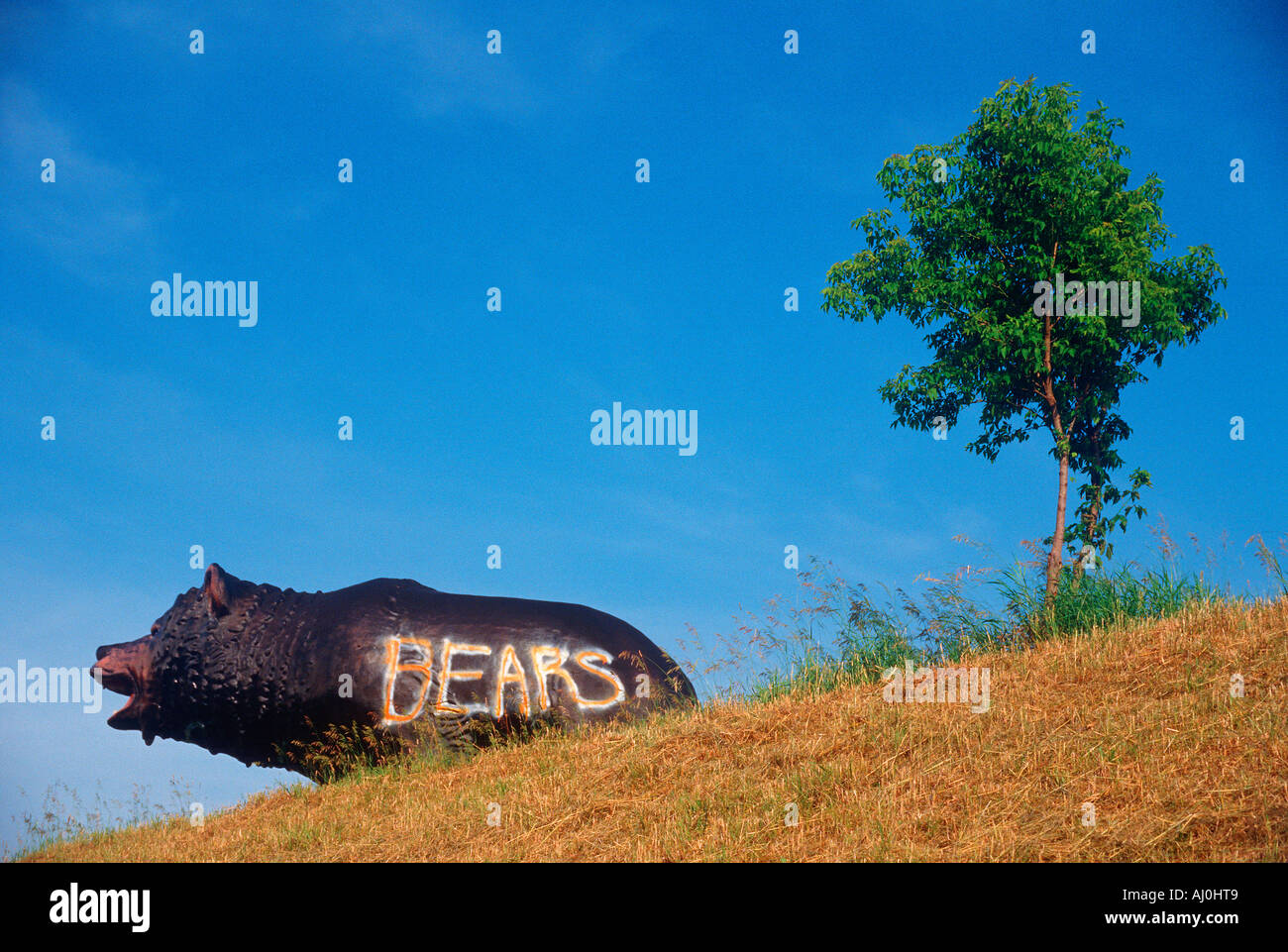 Statue of a giant grizzly bear Stock Photo
