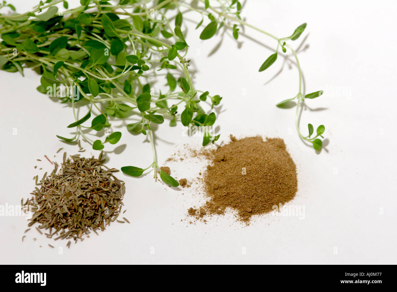 Creeping Thyme Plant Genus Thymus Herbal Seasoning Dried Chopped Ground Spices Stock Photo