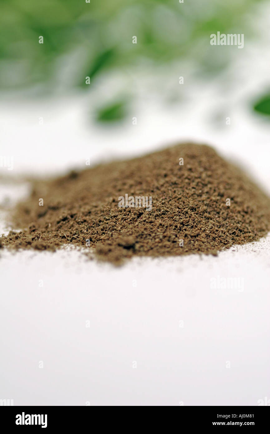 Ground Thyme Herbal Seasoning  Stock Photo