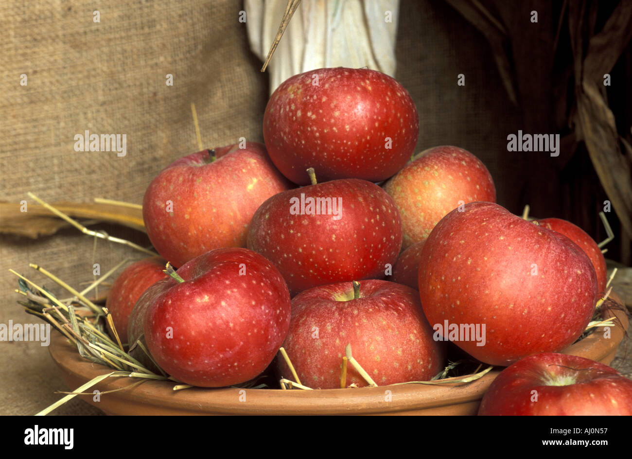 Lobo apples Italy Stock Photo Alamy